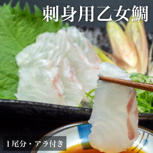 yz iƂ߂j1 hgp At ^C ① m VN   Y Ђ Jpb` }\ ̓ v[g  Ε  