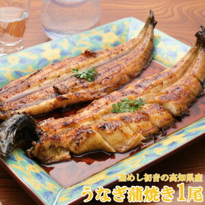 【初音】 高知県産 うなぎ 蒲焼き 1尾 ウナギ 鰻 国産 蒲焼き 国産うなぎ 内祝い ギフト 夏ギフト お中元 御中元 プレゼント お返し お祝い 2025 父の日 父の日ギフト 送料無料