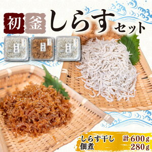 炷Zbg ( 炷 300g × 2 p ώ 280g )  炷   Ⓚ ( ߂ 킵  m Jl lC  ) m m m   ͂  Y