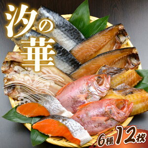 ̉؊ 612 Zbg y  g  /  g ݖ / ڑ g  / ԋ g ݖ / ^ق g  / g   z e 2    Ⓚ z ϔ Mtg 蕨 