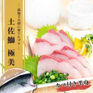 y Nz z yz mYu y܁uɔvJ}ttBigj1kg  m ① VN   hg Ԃ Ђ NxQ }\ ̓ 