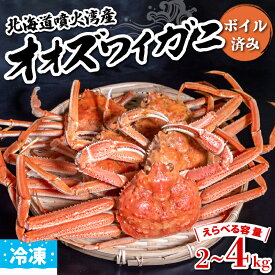浜茹で オオズワイガニ 北海道 噴火湾産 無選別品 ボイル 済み 冷凍配送 2～4kg 冷凍ズワイ 2kg 4kg カニ 蟹 大ズワイガニ