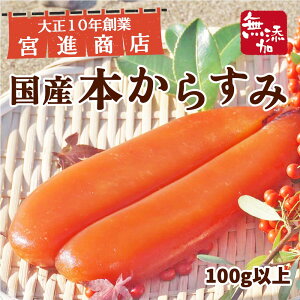 Y {炷 100gȏ S̍Ygp {iXސ Y    n | m pX^ { ܂ Z   Ε  Yn  O咿 v[