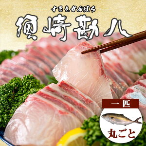 {芨 i XTL Jp` j 1C ܂邲 󃌃Xg ̓ ̓ }\ ܂ Mtg  Ε Yn  蕨  VN N   Y 