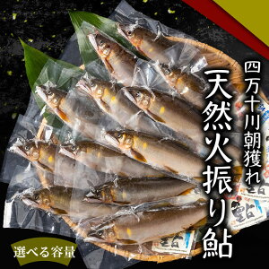 【送料無料】 四万十川 朝獲れ 天然火振り鮎 500g 1kg 2kg 選べる 塩焼き 炭火焼き 甘露煮 高級 新鮮 高知 産地直送 川魚 お買い物マラソン 父の日 プレゼント お中元 お歳暮 正月 産地直送 お取