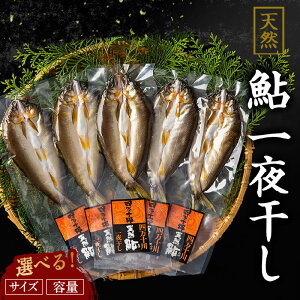 【送料無料】 天然鮎 一夜干し 小・中・特大 3サイズ / 5枚 または 10枚 選べる容量 塩焼き 炭火焼き 高級 新鮮 高知 産地直送 川魚 お買い物マラソン 父の日 プレゼント お中元 お歳暮 正月