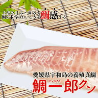 【送料無料】 愛媛県宇和島の養殖マダイ「鯛一郎クン」お刺身用（魚体 1.8kg 〜 2.2kg）1尾分 真鯛 魚 柵…