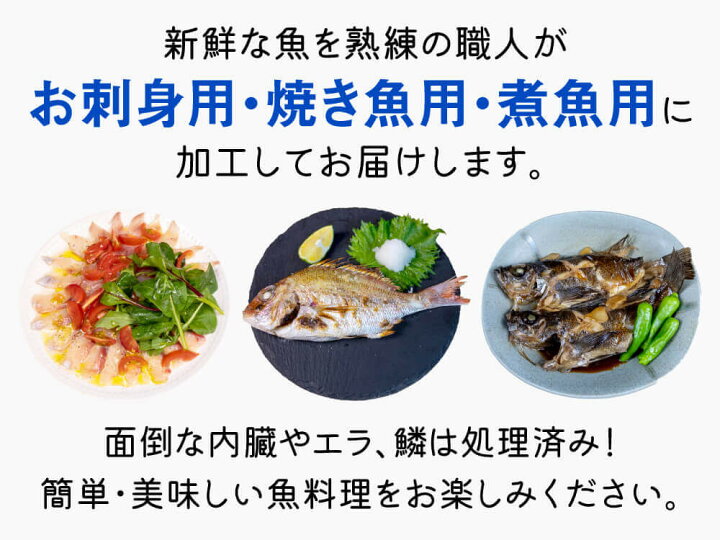 楽天市場】【送料無料】 季節のお勧め鮮魚BOX（約4人前）【下処理済み 