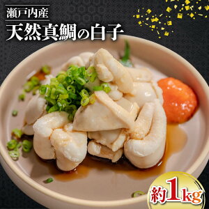 ˓CY E VR ^̔q@1kg }\ ^ }_C  ̓ ̓Mtg ܂  Yn   Ⓚ 炱 ܂Ԃɍ