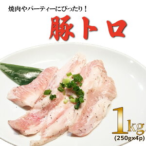 Y  gg 1 kg 1000 g Ⓚ i 250 g × 4 pbN j   ͂ BBQ ē Ă ܂   r[  W[V[ ܂  j Hi