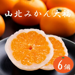 ymYzu Rk݂啟i6jv H̖  XC[c