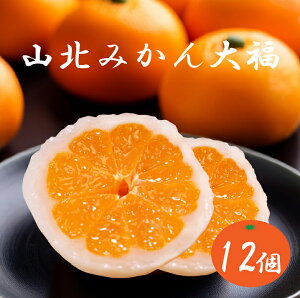 yzymYzu Rk݂啟i12jv@H̖  XC[c