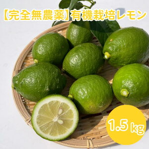 ymYz uyS_z L@͔|[1.5k 1100`150g]vm L@͔|  Ԍ nC{[ W