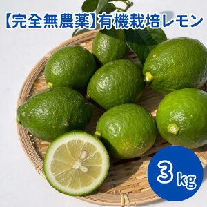 yzymYz uyS_z L@͔|[3k 1100`150g]vm L@͔|  Ԍ nC{[ W