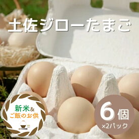 【高知県産】　「土佐ジローたまご12個（6個×2パック)入）」いちえん農場 有精卵 放し飼い 土佐ジロー 玉子かけご飯 高知 四万十 たまご アニマルウエルフェア ウエルビーイング Well-being 動物福祉 SDGs　ご飯のお供