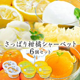 【送料込み】お中元 早割 アイスクリーム さっぱりシャーベット6個セット 【冷凍】【同梱可】【送料無料】2025 高知アイス 食品 ギフト アイス 詰め合わせ 内祝い 高知 お土産 お歳暮 プレゼント お取り寄せグルメ スイーツ お菓子 おすすめ