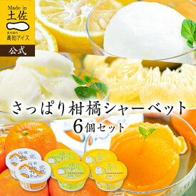 【ポイント10倍】 【3000円ポッキリ！】【送料無料】アイスクリーム さっぱりシャーベット6個セット 【冷凍】【同梱可】【送料込み】2026 土佐高知アイス 食品 ギフト アイス 詰め合わせ 内祝い 高知 お土産 お歳暮 プレゼント お取り寄せグルメ 楽天お買い物マラソン