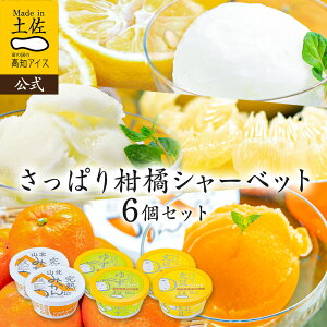 y|Cg5{z y3000~|bLIzyzACXN[ ςV[xbg6Zbg yⓀzyzy݁z2025 ymACX Hi Mtg ACX lߍ킹 j