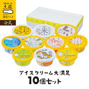 【送料無料】アイスクリーム 大満足10個セット 【冷凍】【同梱可】 お中元 夏ギフト 2026 高知アイス ギフト アイス …