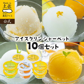 【ポイント5倍】 【送料無料】アイスクリーム アイスクリンシャーベット10個セット【冷凍】【送料込み】 2026 土佐高知アイス ギフト アイス 詰め合わせ 高知 お土産 お歳暮 四国 プレゼント お取り寄せグルメ 内祝い スイーツ お菓子 おすすめ 楽天お買い物マラソン