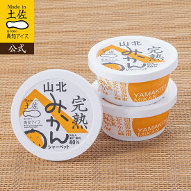 【3個セット】完熟山北みかんシャーベット3個／高知アイス【RCP】