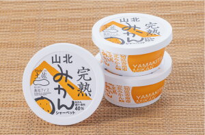 【3個セット】完熟山北みかんシャーベット3個/高知アイス【RCP】