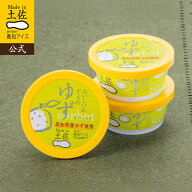 【ポイント5倍】 【3個セット】ゆずシャーベット3個／高知アイス【RCP】 楽天お買い物マラソン