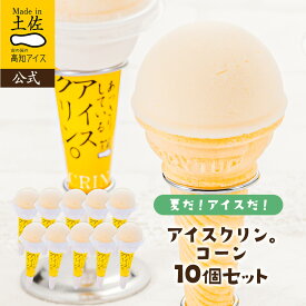 【NEW!】 【10個セット】アイスクリンコーン 10個／高知アイス【RCP】お中元 夏ギフト 懐かしい 昔ながら 父の日 送料無料 デザート スイーツ ご当地アイス 高知県 お土産 詰め合わせ