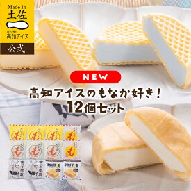 【NEW!】 【12個セット】もなか12個／高知アイス【RCP】最中 ギフト お中元 夏ギフト バニラ スイーツ 父の日 送料無料 土佐 高知県 お土産 食べ比べ プレゼント