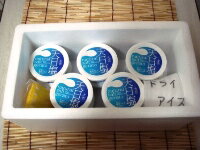 初めて味わう感動の味。塩アイス♪0116NEW10