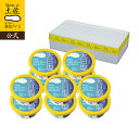 【送料無料】 アイスクリーム 天日塩ジェラート10個セット【冷凍】【同梱可】【送料込み】福袋 2026 高知アイス ギフト アイス 詰め合わせ 高知 お土産 お歳暮 四国 プレゼント お取り寄せグルメ 内祝い スイーツ お菓子 おすすめ 御祝