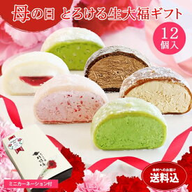 母の日ギフト 2026 数量限定 和菓子 スイーツ ギフト【送料込！母の日とろける生大福セット〈12個入〉】プレゼント ピスタチオ ストロベリーチーズ 抹茶 苺 珈琲 ほうじ茶 クリーム大福 ママ ミニカーネーション 母の日シール