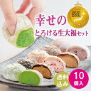 御歳暮 大福ランキング1位 【 送料無料！幸せのとろける生大福セット10個入】 和菓子 ギフト JFSグランプリ受賞 TV雑…