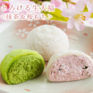 桜 和菓子 母の日ギフト 2026【送料込！とろける生大福＜抹茶＆桜もち＞8個入】季節限定 入学 進学 春 お…
