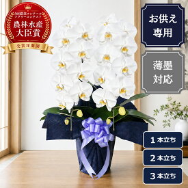 【最大2000円OFFクーポン利用OK】胡蝶蘭 大輪 白【お供え専用】 ＜1本立ち/2本立ち/3本立ち＞ お悔やみ お供え花 お彼岸 お盆 初盆 新盆 四十九日 一周忌 三回忌 法要 命日 生産者直送 当日発送 写真確認 送料無料