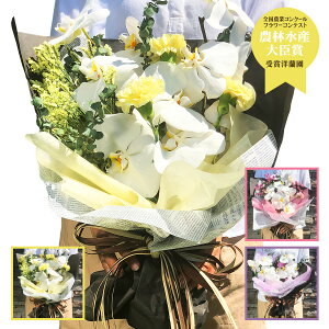 生花 胡蝶蘭 花束の人気商品 通販 価格比較 価格 Com