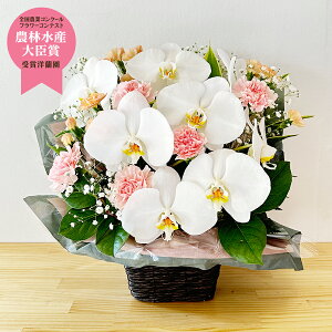  ӒAW  Ӓ 傤 a oYj j hV̓ ̓ ~@ފ zj ̂j@蕨@t[Mtg@v[g@  