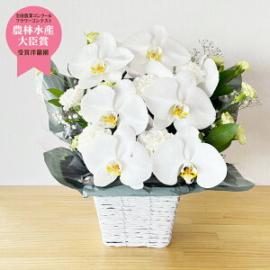 ӒAW  Pm Ӓ 傤 a oYj j hV̓ ̓ ~@ފ݈zj Əj wj o^C zCgf[ @̂