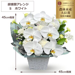 胡蝶蘭 フラワーアレンジメント 3回忌 お供え 公式 供花 仏花 胡蝶蘭 ダリア ウォーター 造花 フラワーアレンジメント PRIMA 仏壇用 仏壇 法事 お供え花 お供え お悔み お悔やみ 花 お彼岸 フラワーアレンジメント フラワー 枯れない 命日 3回忌 PRIMA-GREENPARK
