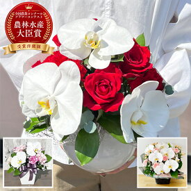 【最大1000円OFFクーポン利用OK】胡蝶蘭アレンジ らんや 黒臼洋蘭園 こちょうらん お誕生日 出産祝い 結婚祝い 敬老の日 母の日 引っ越し祝い 卒業祝い 入学祝い バレンタイン ホワイトデー 　長寿のお祝い　生花　贈り物　フラワーギフト　プレゼント