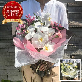 【クーポン利用OK】胡蝶蘭花束 胡蝶蘭 こちょうらん 花束 お祝い お誕生日 出産祝い 結婚祝い 敬老の日 母の日 引っ越し祝い 卒業祝い 入学祝い 長寿のお祝い バレンタイン ホワイトデー 生花 贈り物 フラワーギフト プレゼント 父の日 らんや 黒臼洋蘭園