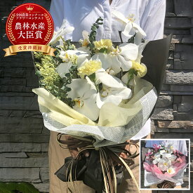 【最大1000円OFFクーポン利用OK】胡蝶蘭花束 らんや 胡蝶蘭 こちょうらん 黒臼洋蘭園 お祝い お誕生日 出産祝い 結婚祝い 敬老の日 母の日 引っ越し祝い 卒業祝い 入学祝い 長寿のお祝い バレンタイン ホワイトデー 生花 贈り物 フラワーギフト プレゼント 父の日