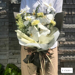 Ӓԑ  Pm Ӓ 傤 j a oYj j hV̓ ̓ zj Əj wj ̂j o^C zCgf[  