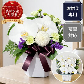 【最大1000円OFFクーポン利用OK】胡蝶蘭 アレンジ【お供え専用】 お悔やみ お供え お供え花 お彼岸 お盆 初盆 新盆 四十九日 一周忌 三回忌 法要 命日 生産者直送 当日発送 写真確認 送料無料