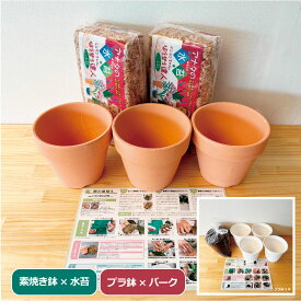 【クーポン利用OK】胡蝶蘭 植替えセット 植替え手順付き コチョウラン　植替え 植え替え 水苔 バーク 素焼き 素焼き鉢 黒臼洋蘭園 らんや 胡蝶蘭専門店