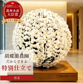 【クーポン利用OK】胡蝶蘭 白 大輪 百玉 【特注 関東限定】らんや 黒臼洋蘭園 お祝い パーティ イベント 発表会 展示会 式典 開店祝い 還暦 就任 昇進 栄転 上場 退職 洋蘭 誕生日 贈り物 開業 周年 当選 移転 古稀 米寿 贈り物 鉢花 誕生日 ギフト