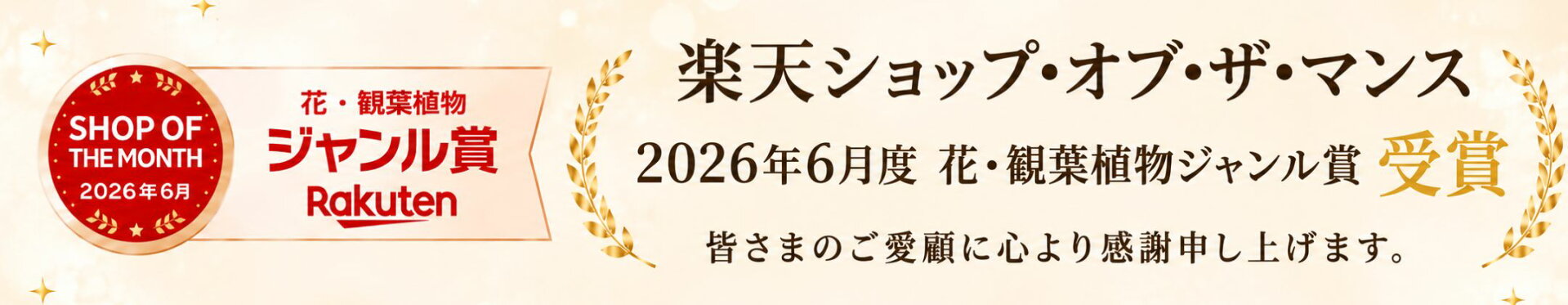 pointback_sp