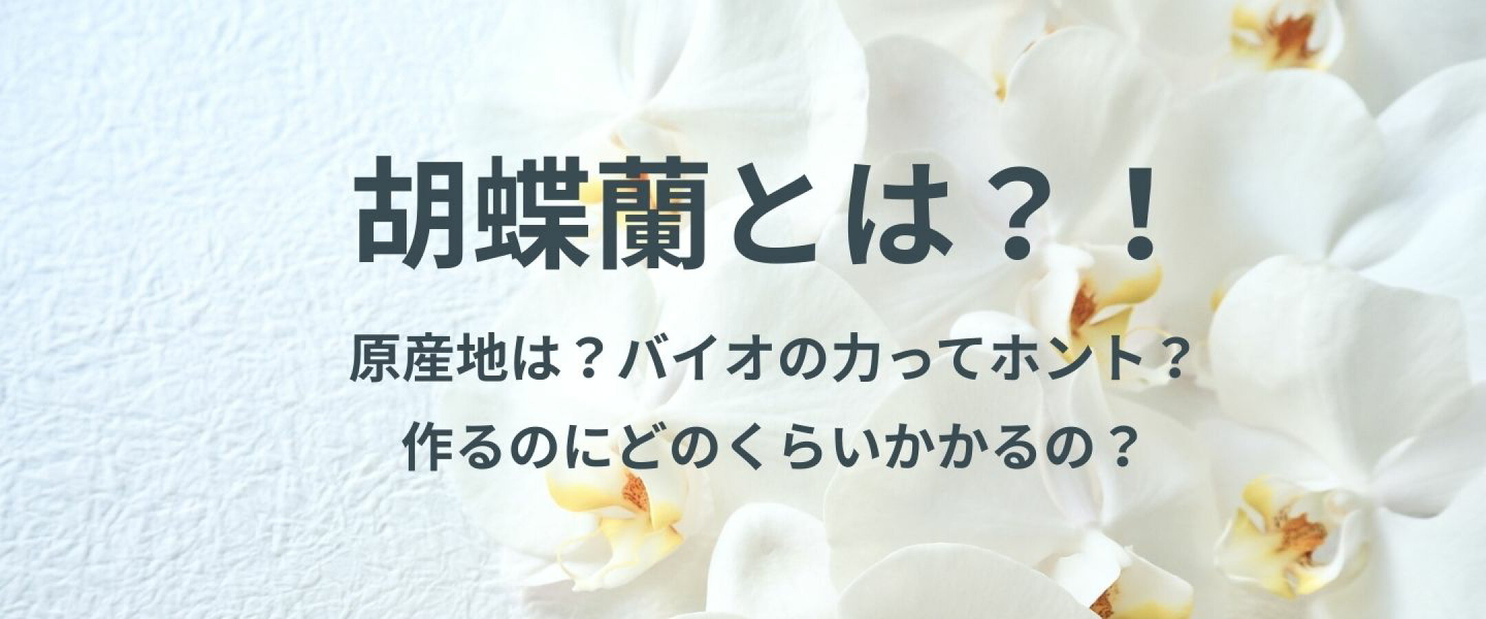 胡蝶蘭とは？！
