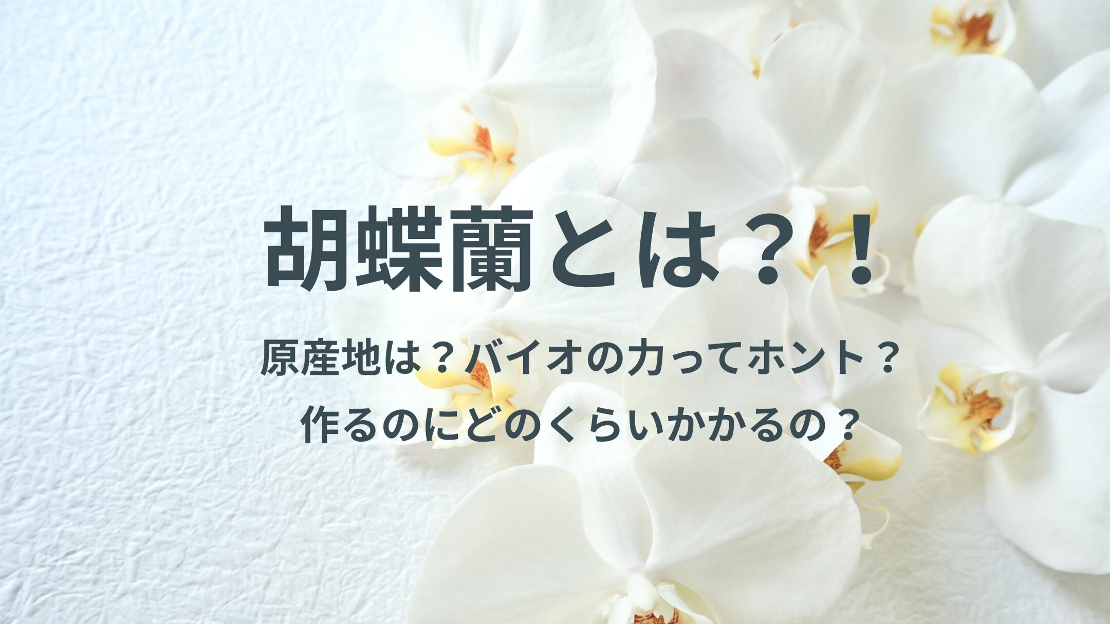 胡蝶蘭とは？！