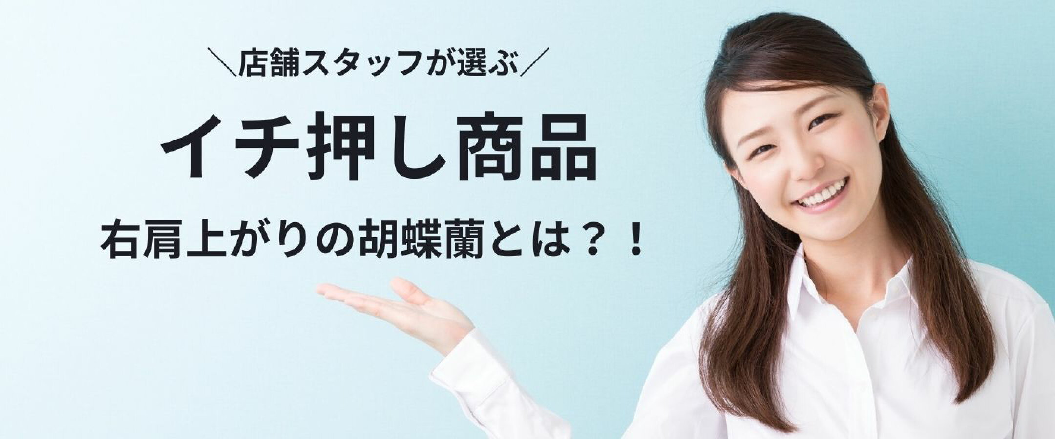 イチ押し商品！特許取得の胡蝶蘭
